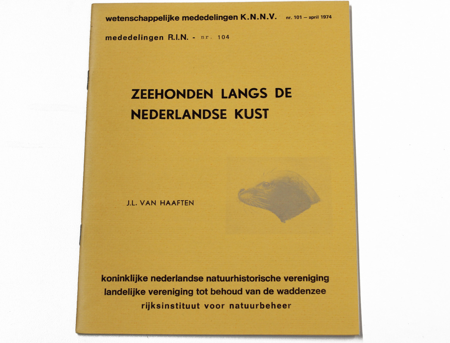 zeehonden lang nederlandse kust
